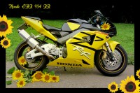 /album/rok-20111/honda-954-rr-fireblade-kopie-zm-jpg/